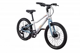 Bike Spinn Fun 20"