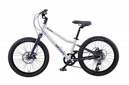 Bike Spinn Fun 20" Storm Blue