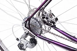 Men's Bike Pashley Pathfinder Tour Candy Purple 56