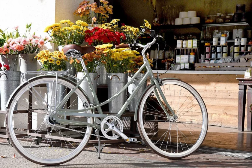 Bike Electra Loft 7i Step Thru Matte Hazel (Size S)