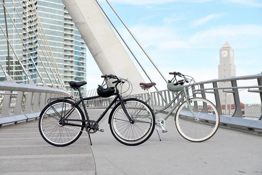 Bike Electra Loft 7i Step Thru Matte Hazel (Size S)