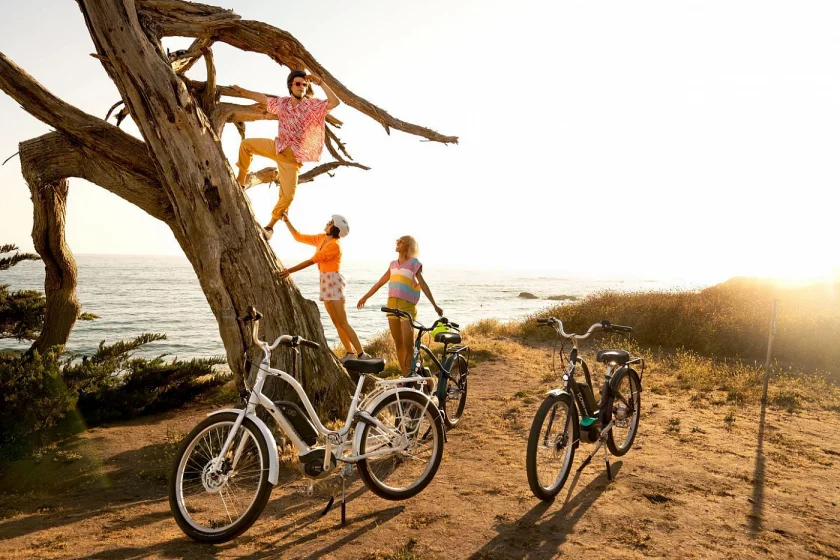 E-bike Electra Townie GO! 5i Step Thru Cloudy Grey
