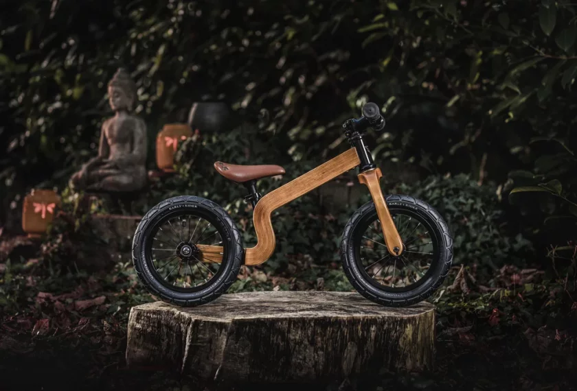 Kids' Bike Early Rider Bonsai