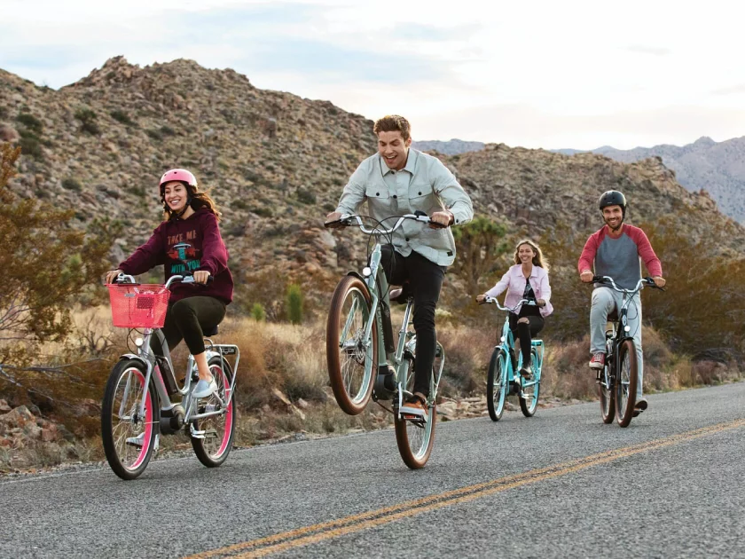 E-bike Electra Townie GO! 5i Step Thru Cloudy Grey
