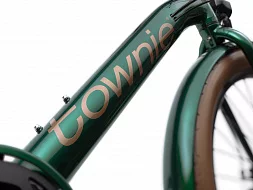 Men's Bike Electra Townie GO! 7D Step Over Green